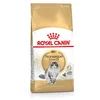 Image de Royal Canin Nourriture pour chat de la forêt norvégienne, 10 kg, 1 paquet (1 x 10 kg)