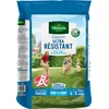 Image de VILMORIN - Gazon Ultra-Résistant - Premières pousses dès 2 semaines - Pour terrains de sport, de jeux ou zones de passage - Pour Créer un nouveau gazon/regarnir un gazon ancien - 10 Kg
