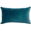 Image de Vivaraise - Coussin Elise avec garnissage Moelleux   Taie d'oreiller Lavable - Housse Amovible   100% Coton   Recto Velours, Verso Chambray