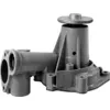 Image de Pompe à eau HYUNDAI SATELLITE