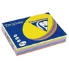 Image de TROPHÉE Lot de 5 Ramettes 500 Feuilles Papier 80g A4 210x297 mm Certifié FSC Assorti Fluo