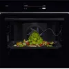 Image de Four encastrable ELECTROLUX FOE TT9PB831AB