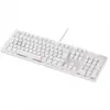 Image de Clavier gamer SKILLKORP K15 BLANC Progress