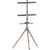 Image de Pied TV ADEQWAT bois Pablo 45-65 pouces