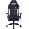Image de Chaise gaming SKILLKORP C10