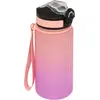 Image de Bouteille 5FIVE sport + paille 600ml