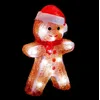 Image de Feeric lights et christmas - Bonhomme de neige lumineux intérieur h21cm 20 led à piles