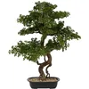 Image de Atmosphera - Bonsaï artificiel polin pot en céramique h86cm