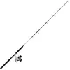 Image de Daiwa Set Canne+Moulinet Dw J 18 H Af + Dw 5000 B - 1.8m - 891g - P.100-300 - Enc.135cm - SETDW04
