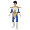 Image de Déguisement Vegeta Dragon Ball Homme - Coloré - Medium