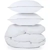 Image de IDMarket - Couette 220x240 CM AELA en Plume d'oie Anti acarien 500 GR + 2 oreillers