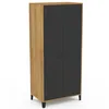 Image de IDMarket - Armoire vestiaire penderie Ester 2 Portes métal Noir et Contour Bois Design Industriel