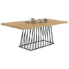 Image de IDMarket - Table à Manger Extensible Rectangle Yuna 6-10 Personnes Plateau Bois et Pied Filaire en métal Noir 160-200 cm