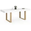 Image de IDMarket - Table à Manger Extensible Rectangle Phoenix 160-200 cm