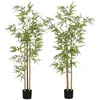 Image de HOMCOM Lot de 2 Plantes Artificielles Bambou Arbre Artificiel Hauteur 180cm