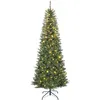 Image de HOMCOM Sapin de Noël artificiel 210 cm, arbre de Noël fin avec 350 lumières blanches chaudes et multicolores, 9 modes d'éclairage, 1273 pointes de branche articulée, support en métal pliable, vert