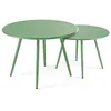 Image de Palavas - Lot de 2 Tables Basses de Jardin en métal Vert Cactus