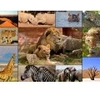 Image de Grafika Collage - Wildlife F-30026