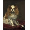 Image de Grafika Edouard Manet : Un Cavalier King Charles Spaniel, 1866 F-30469