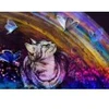 Image de Grafika Le Chat et l'Arc-en-Ciel F-32231