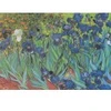 Image de Grafika Vincent Van Gogh - Saint-Remy - Les Iris, 1889 F-32751