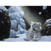 Image de Grafika Schim Schimmel - Ice House F-33088