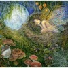Image de Grafika Josephine Wall - Fairy Nest F-33484