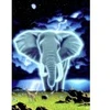 Image de Grafika Schim Schimmel - Spirit of Africa T-00416