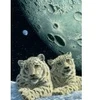 Image de Grafika Schim Schimmel - Lair of the Snow Leopard T-00421