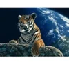 Image de Grafika Schim Schimmel - Only One Home T-00433