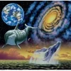 Image de Grafika Schim Schimmel - Cosmic Seas T-02400