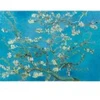 Image de Bluebird Puzzle Vincent Van Gogh - Almond Blossom, 1890 by-Bluebird-F-60209