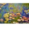 Image de Bluebird Puzzle Claude Monet - Nymphéas by-Bluebird-F-60240