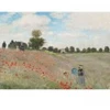 Image de Bluebird Puzzle Claude Monet - Poppy Field, 1873 by-Bluebird-F-60312