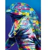Image de Bluebird Puzzle Dolphin Puzzle-70302-P