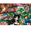 Image de Bluebird Puzzle Puzzle Cats Puzzle-F-90030