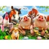 Image de Bluebird Puzzle Petting Farm Puzzle-F-90085
