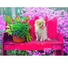 Image de Bluebird Puzzle Puppy in the Colorful Garden Puzzle-F-90107