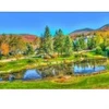 Image de Bluebird Puzzle Stowe, Vermont, USA Puzzle-F-90133
