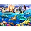 Image de Bluebird Puzzle Oceans of Life Puzzle-F-90235