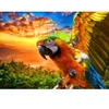 Image de Bluebird Puzzle Parrot Puzzle-F-90263