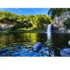 Image de Bluebird Puzzle Bassin de la Paix, La Réunion, France Puzzle-F-90479
