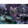 Image de Bluebird Puzzle Anne Stokes - Gothic Dreams Puzzle-F-90836