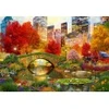 Image de Bluebird Puzzle Central Park NYC Puzzle-F-90870
