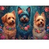 Image de Bluebird Puzzle Trio Canin Puzzle-F-91021