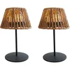 Image de Lumisky Set de 2 lampes de table LED sans fil TWINS Raffy H24.5cm