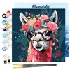 Image de Figured'Art Mini peinture par numéros - Pour adultes - Avec cadre - 20 x 20 cm - Petit format - Fantaisie lama avec fleurs - Peinture par numéros - Kit de bricolage - Toile tendue sur cadre en bois