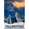 Image de Alipson Puzzle Loup de Yellowstone Puzzle-F-50008