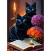 Image de Alipson Puzzle Black Cats Puzzle-F-50146