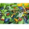 Image de Alipson Puzzle Fun Frogs Puzzle-F-50168